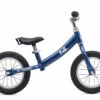 Fuji Lil Rookie 12 Pushbike