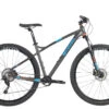 Haro Double Peak 29 Comp