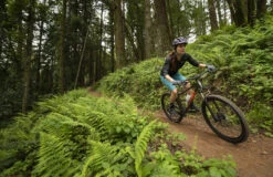 Marin Wildcat Trail 5 -Bicycles & Spare Parts marin wildcat wfg 5 380144 1