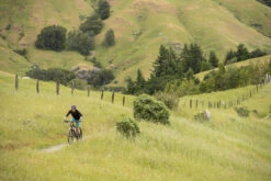 Marin Wildcat Trail 5 -Bicycles & Spare Parts marin wildcat wfg 5 380144 16