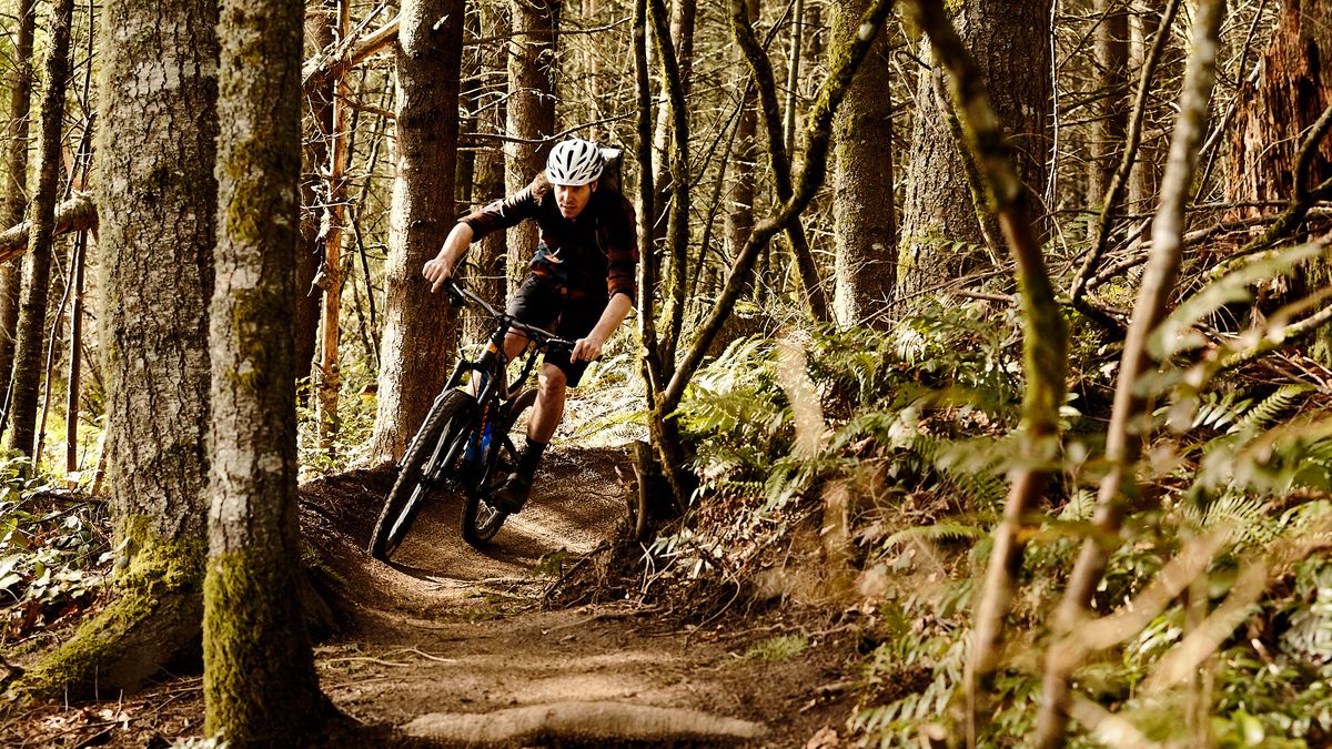 Bicycles & Spare Parts -Bicycles & Spare Parts mg 4841 1597155372