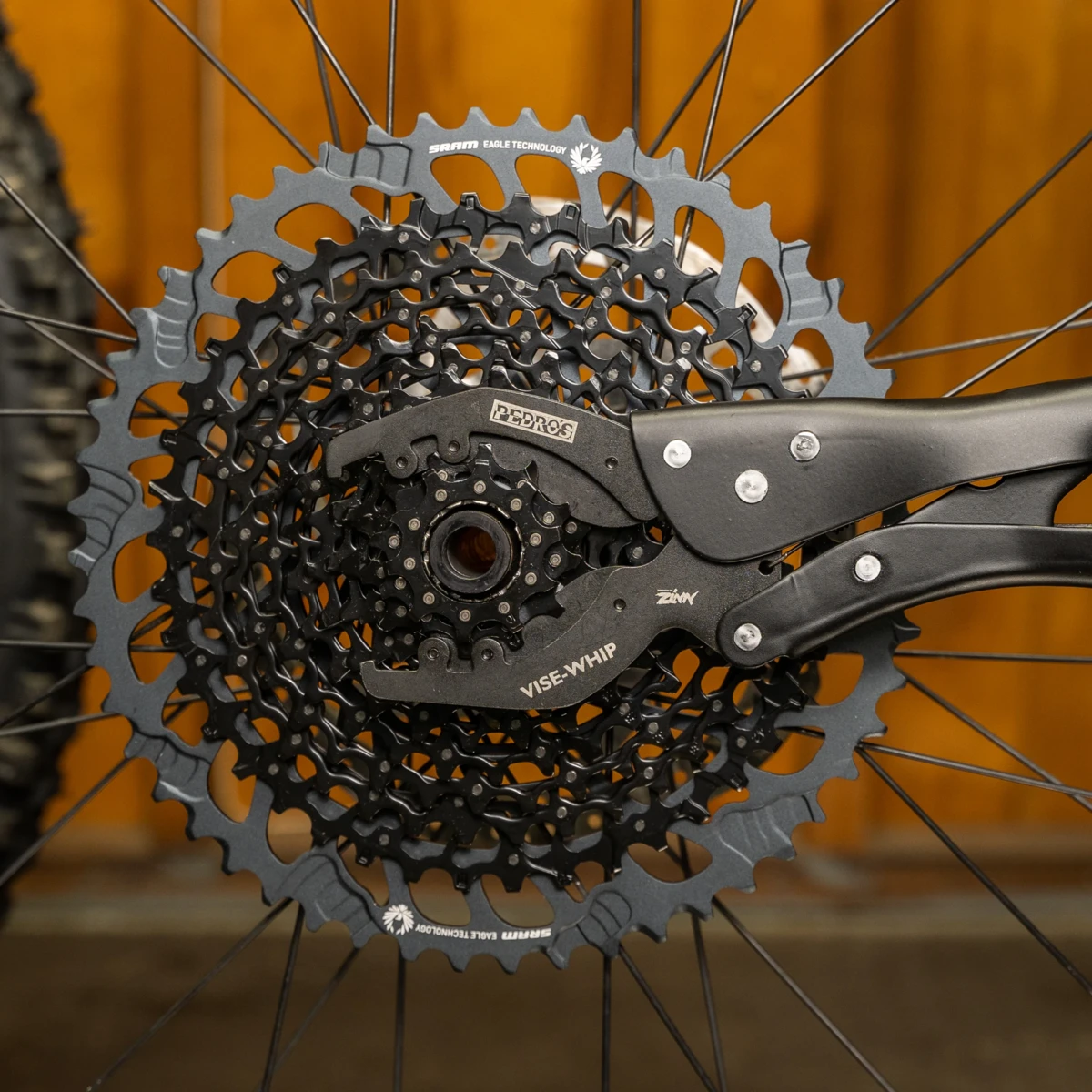 Pedro's Vise Whip II 7 Pedro's Vise Whip II - Image 5