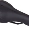 WTB Speed She Steel Saddle